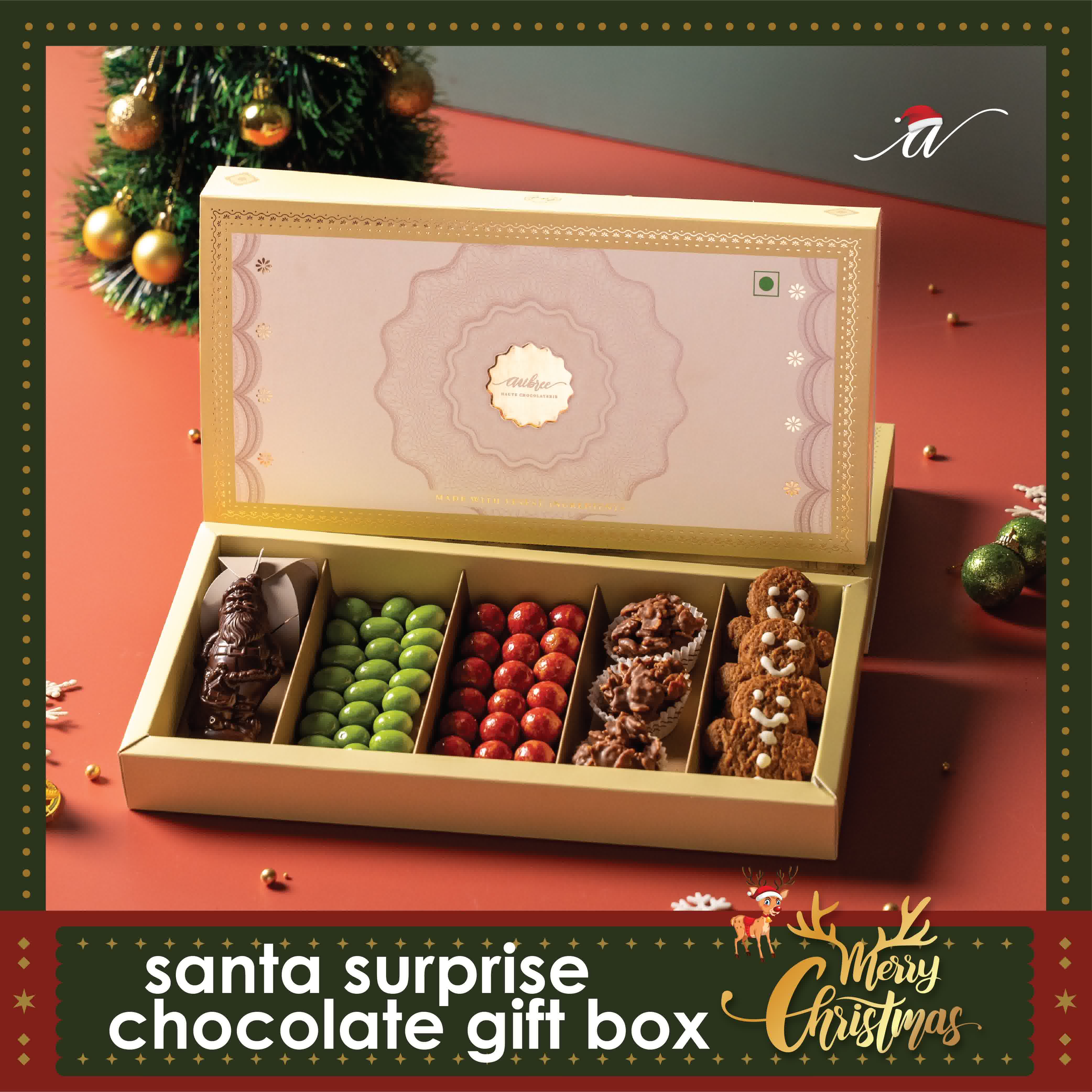 Santa Surprise Chocolate Gift Box